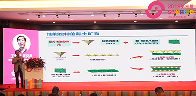 2019第三屆太陽鳥畜牧產(chǎn)業(yè)無抗發(fā)展大會(huì)（王愛勤研究員報(bào)告）